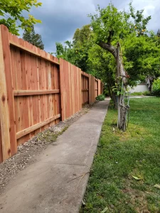 5.5 Redwod Dog Ear 4