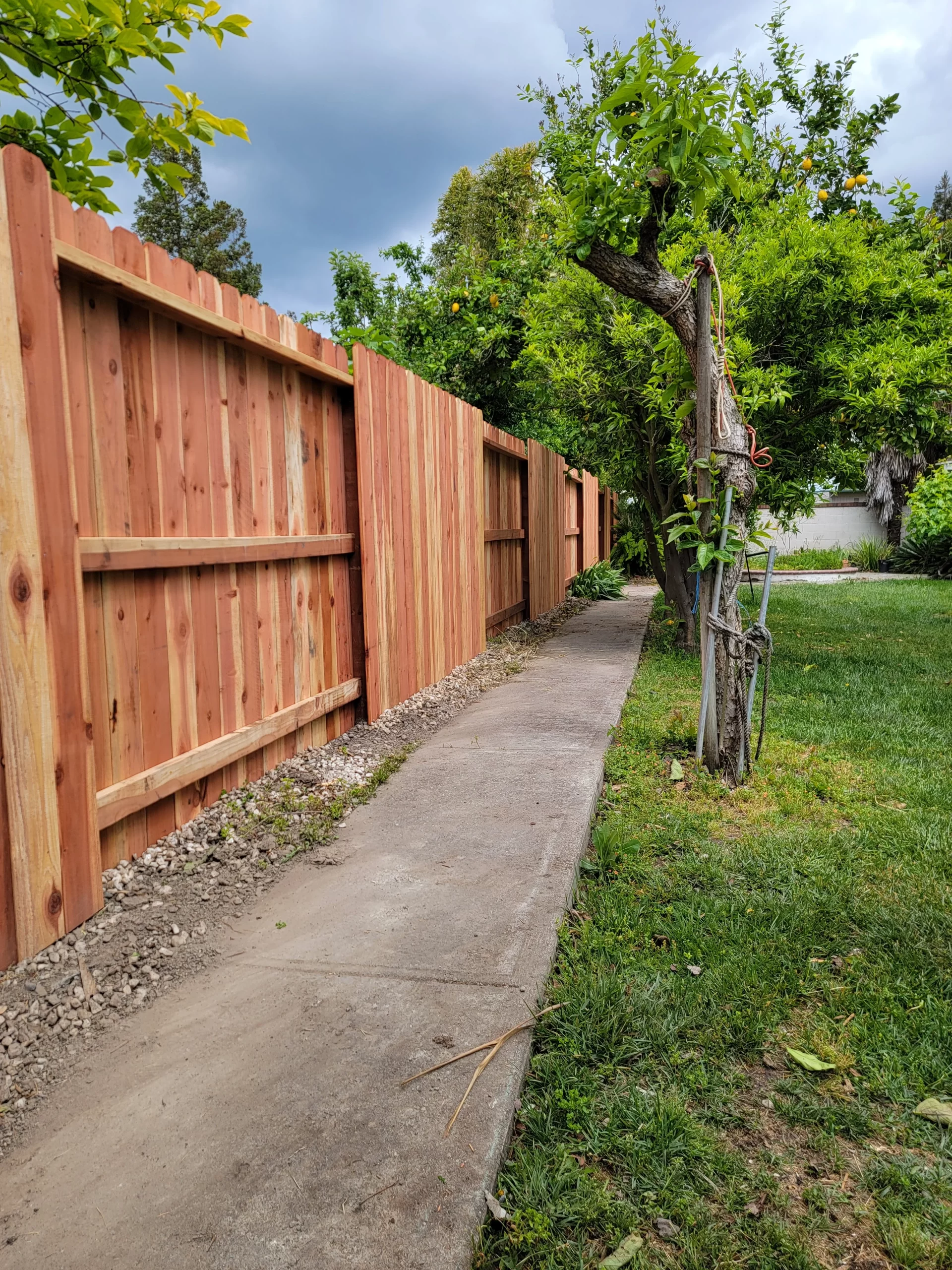 5.5 Redwod Dog Ear 4