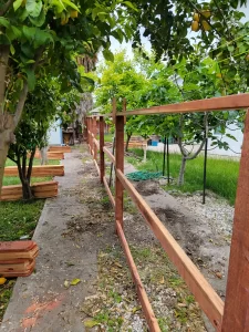 5.5 Redwod Dog Ear 6