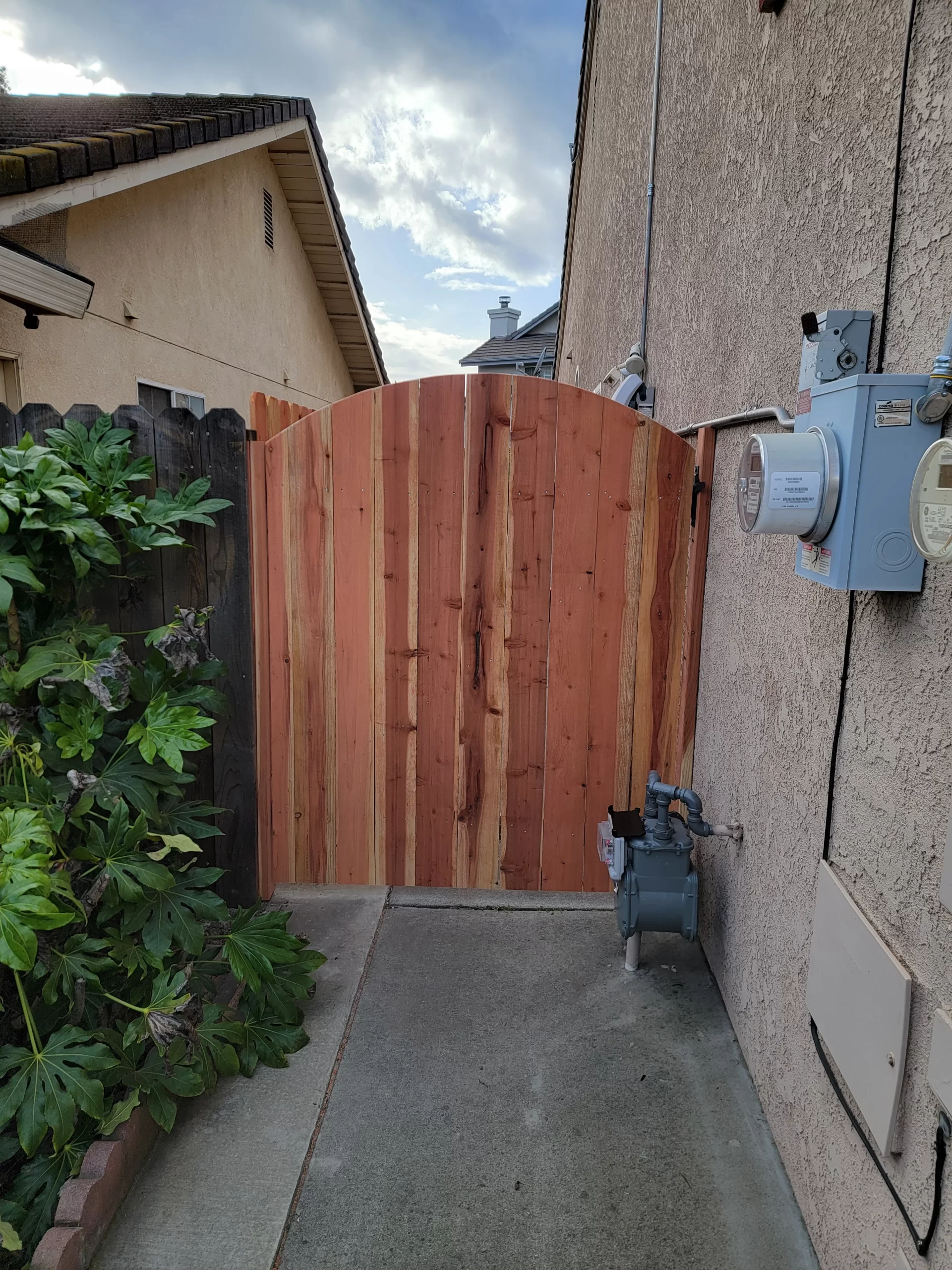 5.5 Redwood Dog Ear 2-1