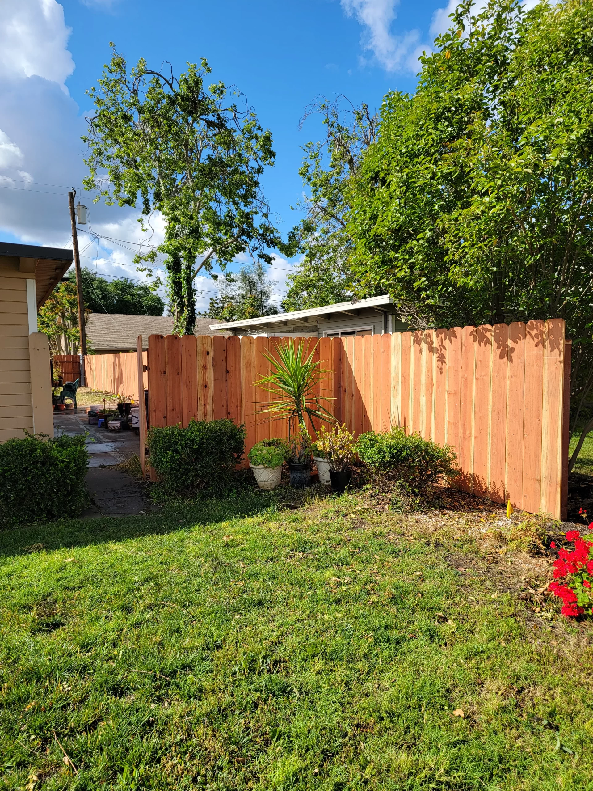 7.5 Redwood Dog Ear 6