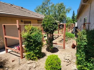 7.5 Redwood Dog Ear 8