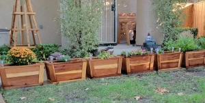 Custom Furnishings 7