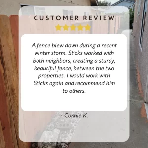Customer Review 3